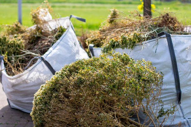 Best Junk Hauling Services  in Penn Yan, NY